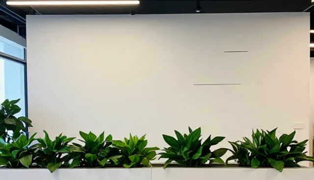 系统集成选型中的常见误区及应对策略